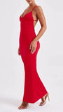 Abbey Backless Sleeveless Maxi Dress - Fashion Pov