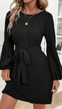 Alina Long Sleeve Mini Dress - Fashion Pov