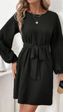 Alina Long Sleeve Mini Dress - Fashion Pov