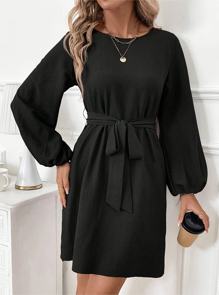 Alina Long Sleeve Mini Dress - Fashion Pov