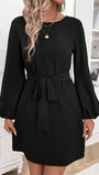 Alina Long Sleeve Mini Dress - Fashion Pov