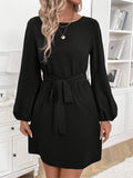 Alina Long Sleeve Mini Dress - Fashion Pov