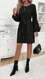 Alina Long Sleeve Mini Dress - Fashion Pov