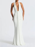 Arabella Sleeveless Maxi Dress - Fashion Pov