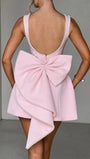 Arden Sleeveless Mini Dress - Fashion Pov