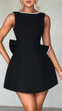 Arden Sleeveless Mini Dress - Fashion Pov
