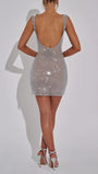 Astrid Sleeveless Mini Dress - Fashion Pov