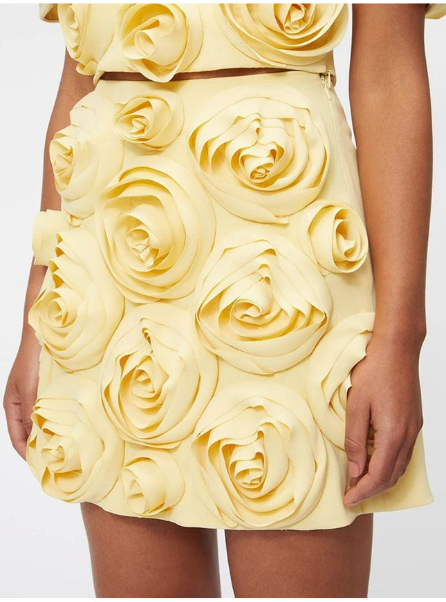 Carli Appliques Top & Skirt Set - Fashion Pov