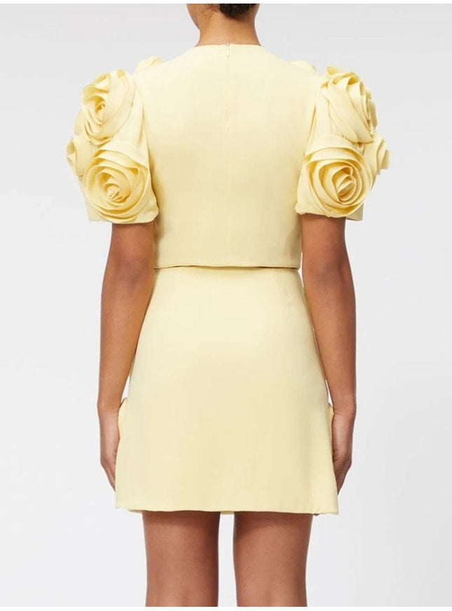 Carli Appliques Top & Skirt Set - Fashion Pov