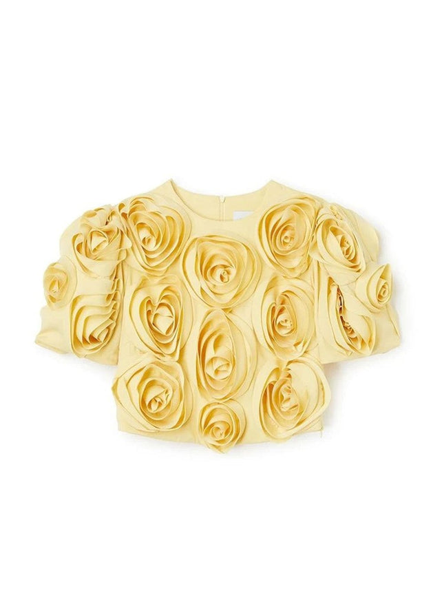 Carli Appliques Top & Skirt Set - Fashion Pov