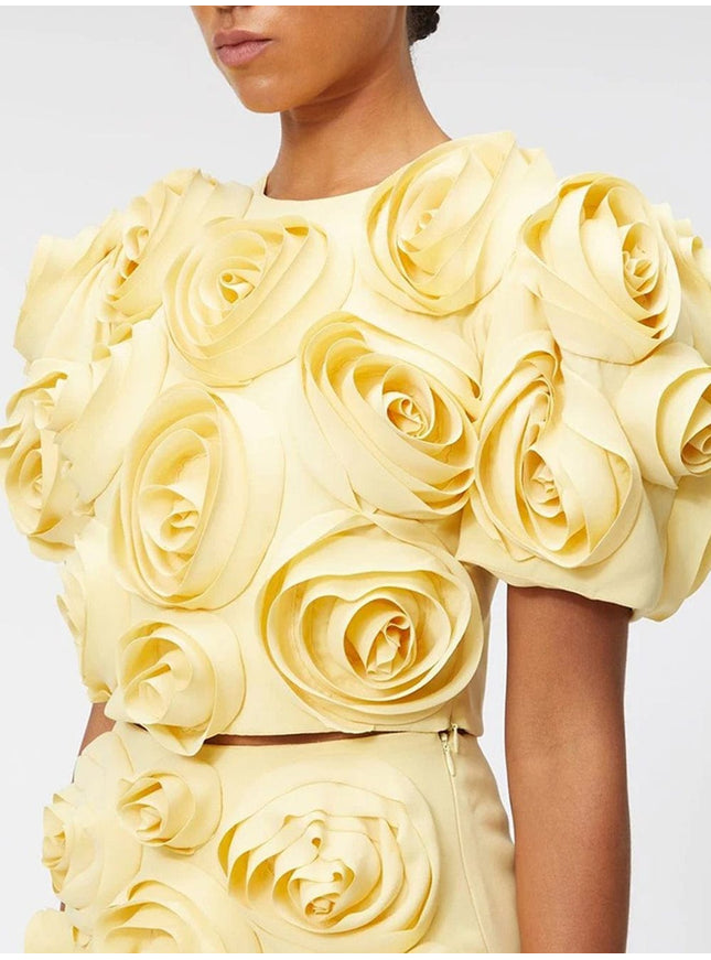 Carli Appliques Top & Skirt Set - Fashion Pov