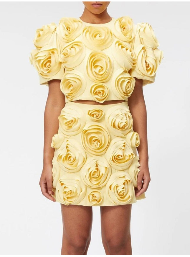 Carli Appliques Top & Skirt Set - Fashion Pov