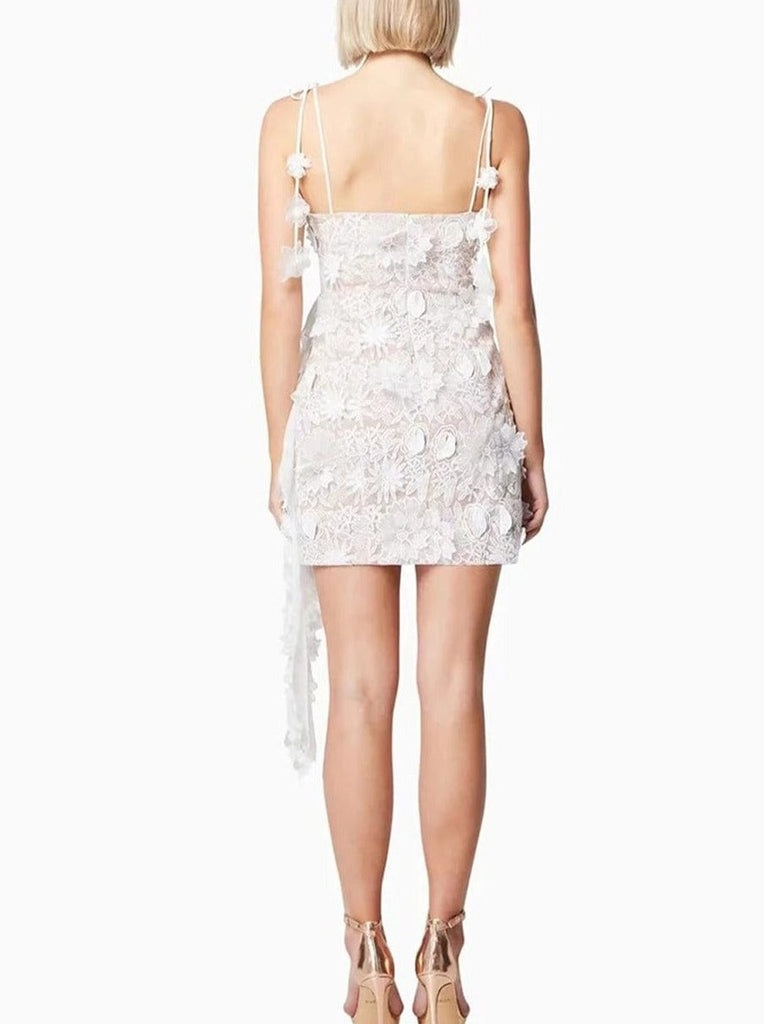 Daniela Appliques Sleeveless Mini Dress - Fashion Pov