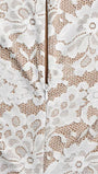 Elara Lace Ruched Gown Dress - Fashion Pov