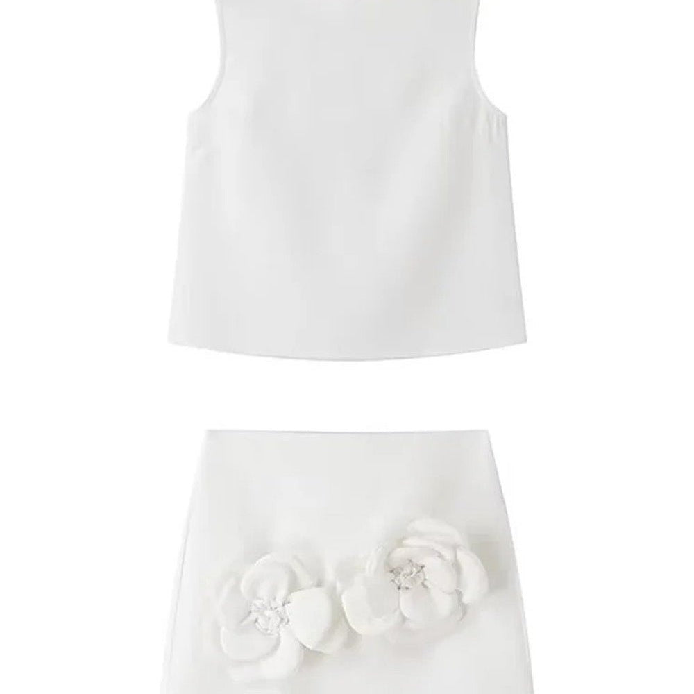 Elise Sleeveless Applique Top & Mini Skirt Set - Fashion Pov