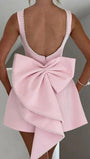 Elsie Sleeveless Mini Dress - Fashion Pov