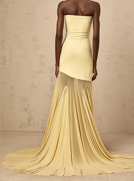 Evelyn Sleeveless Maxi Dress - Fashion Pov