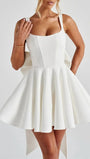 Jordyn Sleeveless Mini Dress - Fashion Pov