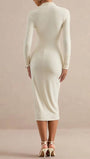 Margot Ruched Turtleneck Midi Dress - Fashion Pov