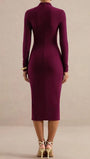 Margot Ruched Turtleneck Midi Dress - Fashion Pov