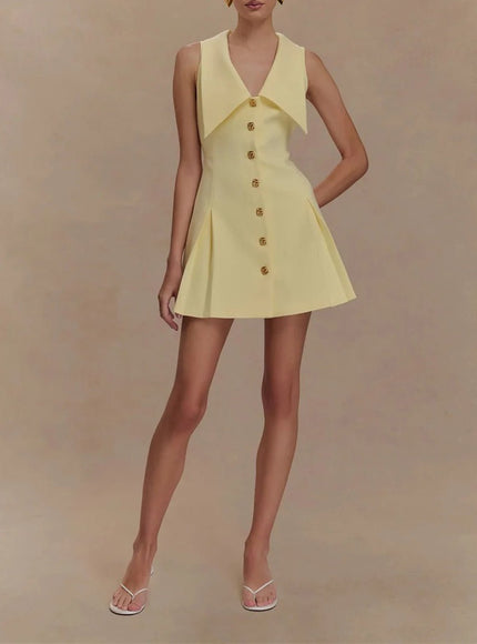 Rachel Sleeveless Mini Dress - Fashion Pov