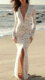 Rosalie Lace Plunge Gown Dress - Fashion Pov