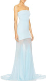 Seraphine Strapless Mesh Maxi Dress - Fashion Pov