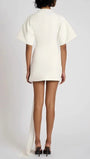 Serena Ruched Metal - Detail Mini Dress - Fashion Pov