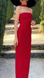 Sofia Strapless Sleek Maxi Dress - Fashion Pov