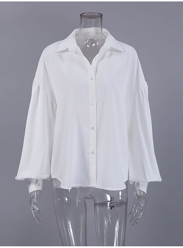 Nala Chiffon Long Sleeve Top - Fashion Pov
