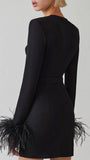 Thea Feather Bodycon Mini Dress - Fashion Pov